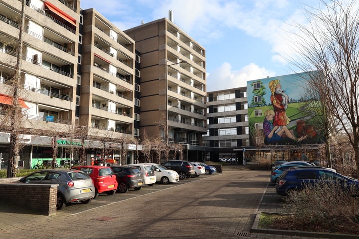 Schapendries 78 en Oosterhout foto