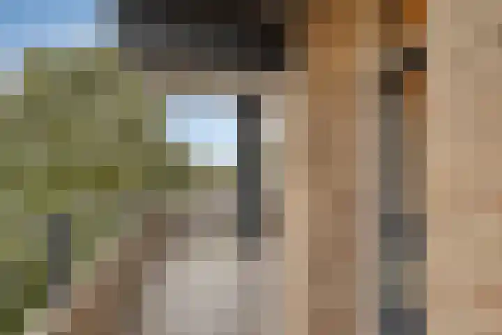 Schapendries 79 Oosterhout thumbnail 11