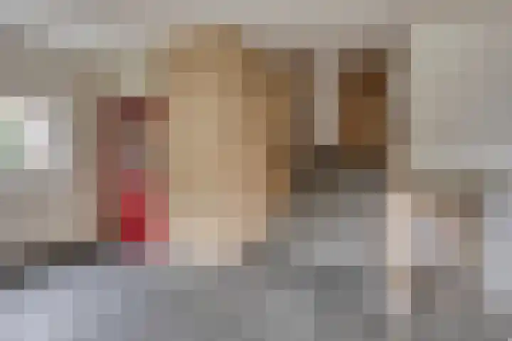 Schapendries 79 Oosterhout thumbnail 9