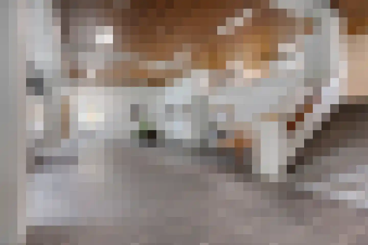 Schapendries 96 Oosterhout thumbnail 7