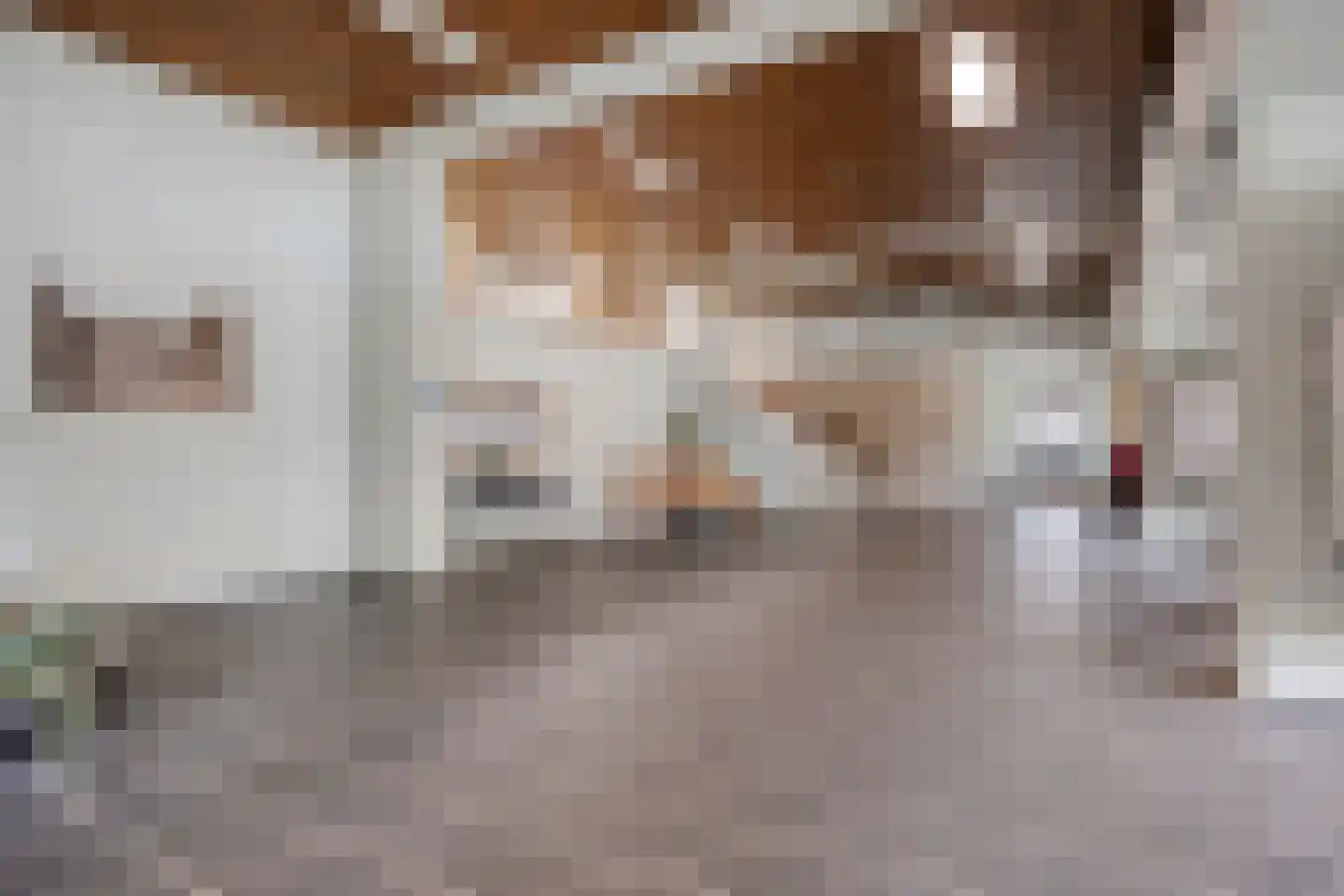 Schapendries 96 Oosterhout thumbnail 8