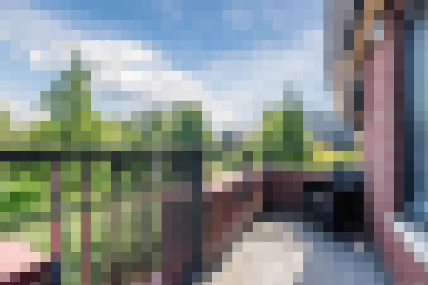 Schapendriest 16 Hooglanderveen thumbnail 26