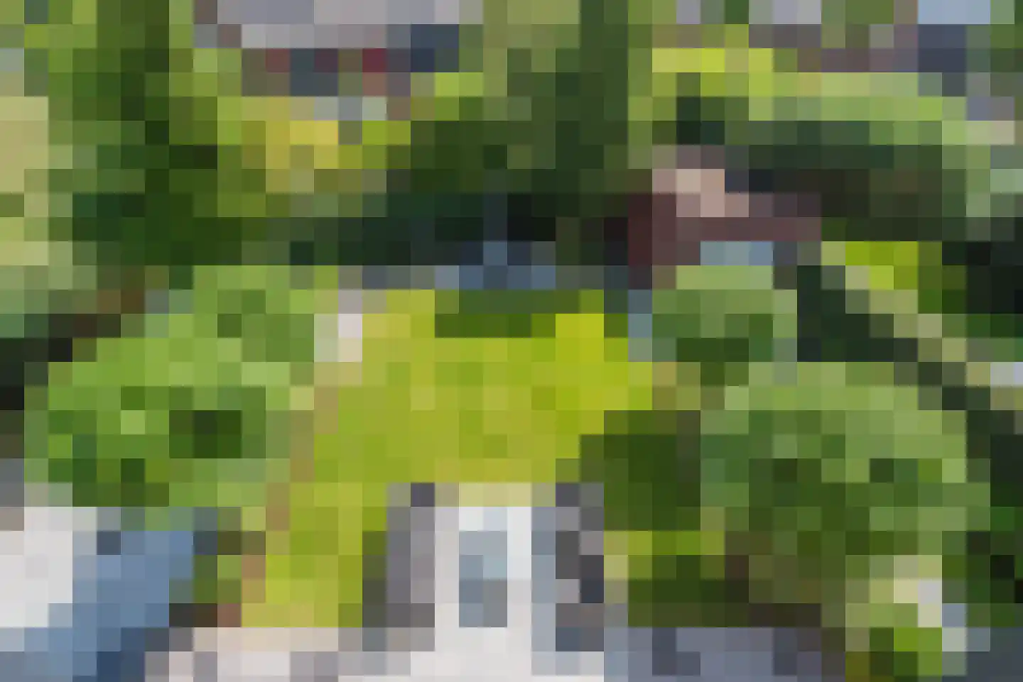 Schapendriest 16 Hooglanderveen thumbnail 27