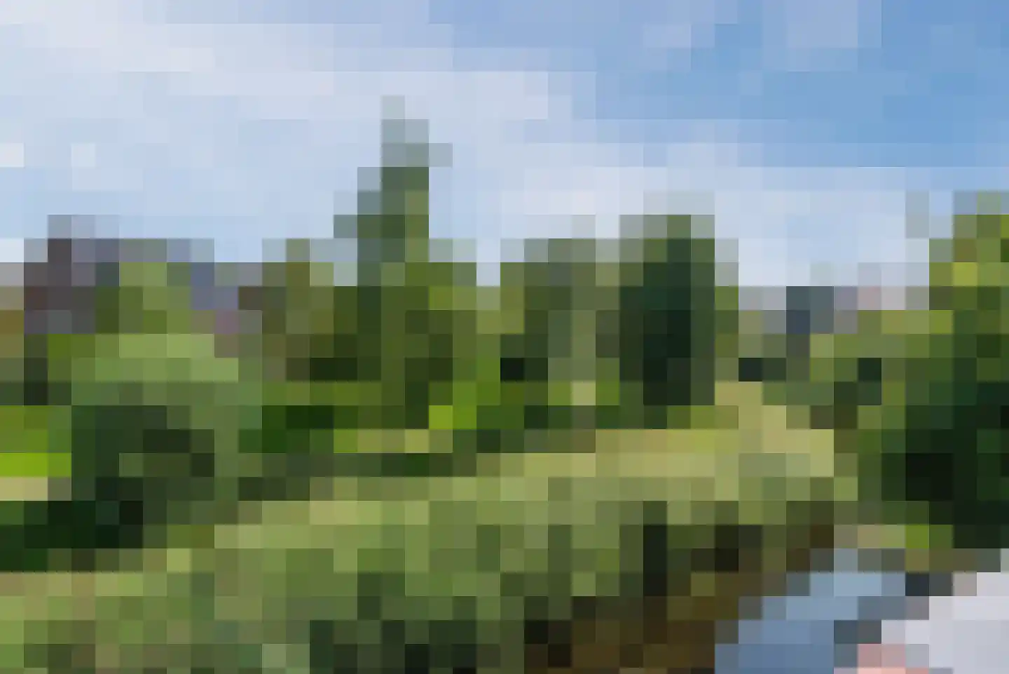 Schapendriest 16 Hooglanderveen thumbnail 28