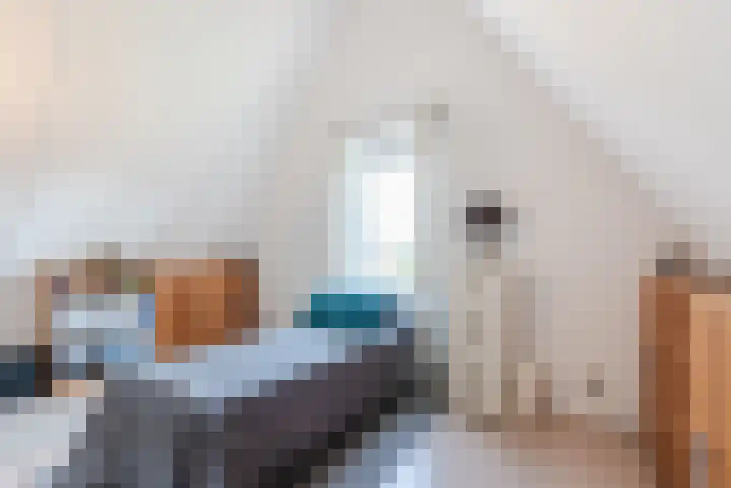 Schapendriest 16 Hooglanderveen thumbnail 38