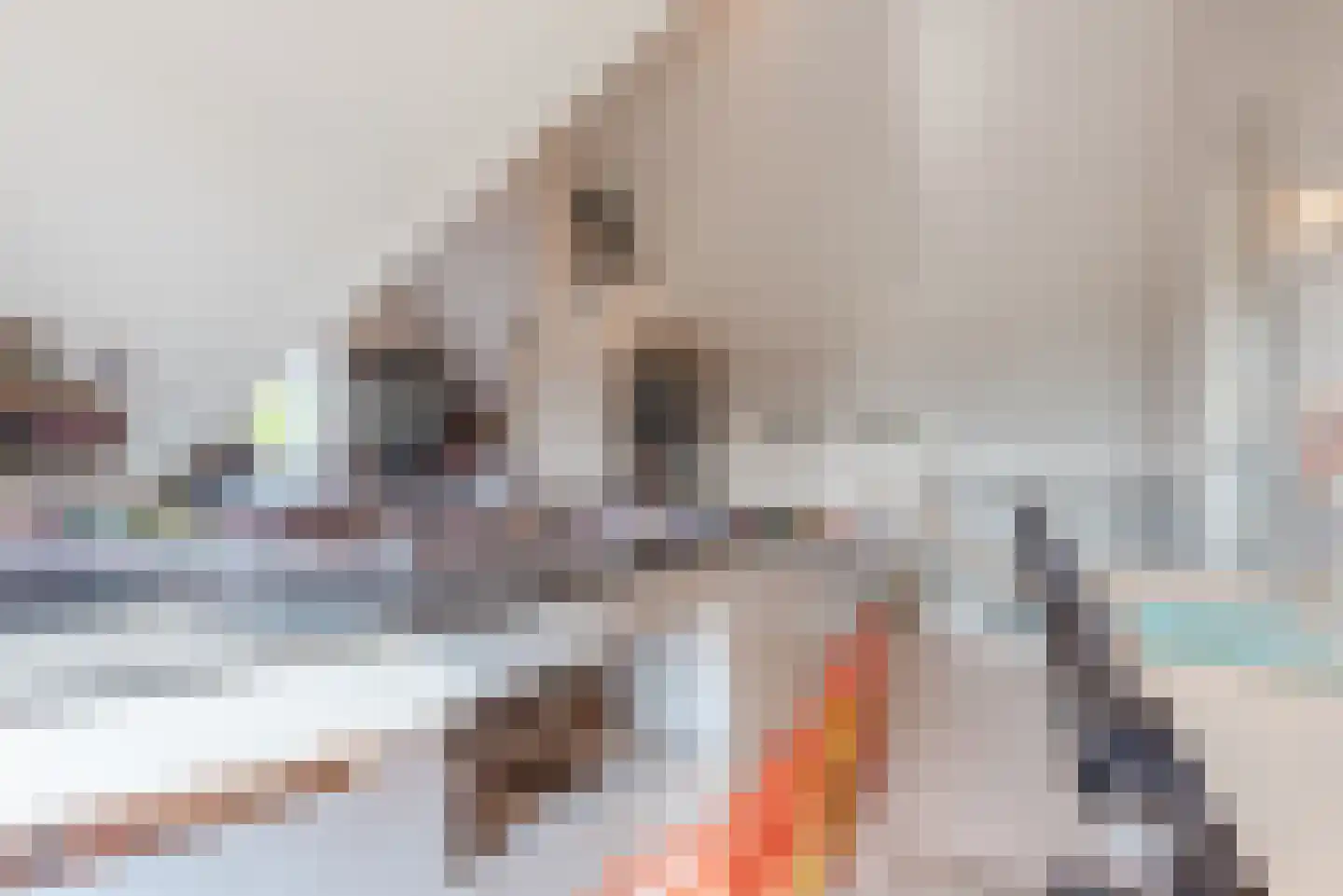 Schapendriest 16 Hooglanderveen thumbnail 44