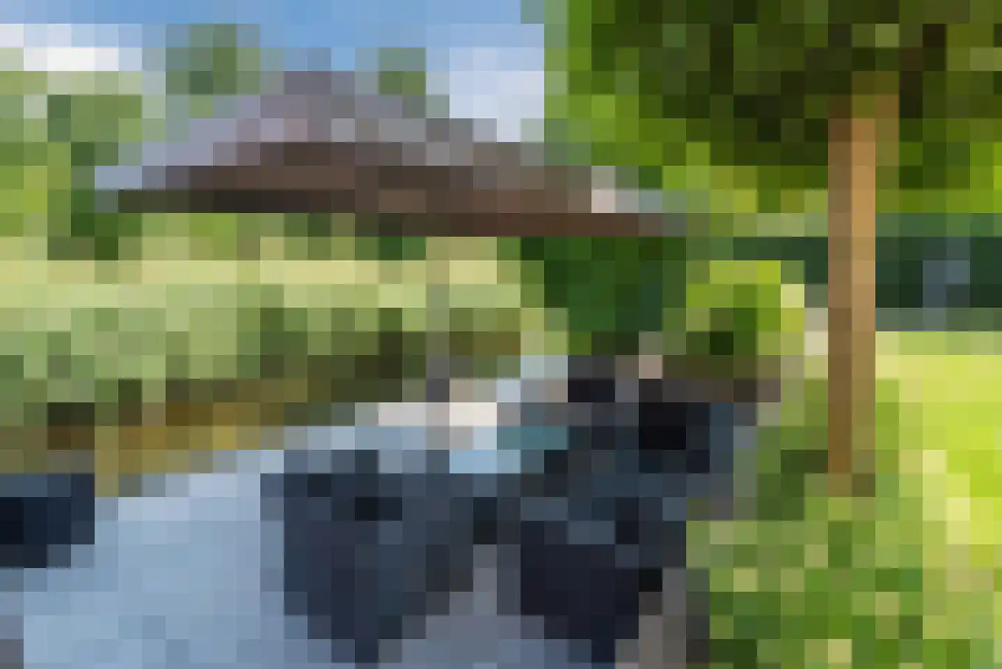 Schapendriest 16 Hooglanderveen thumbnail 51