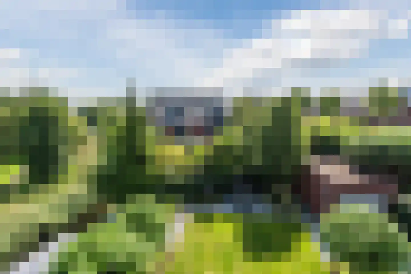 Schapendriest 16 Hooglanderveen thumbnail 52
