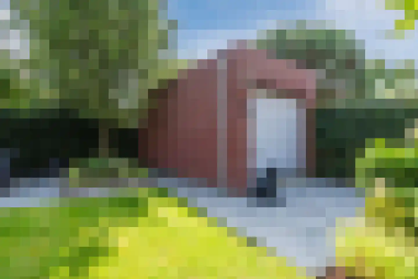 Schapendriest 16 Hooglanderveen thumbnail 55