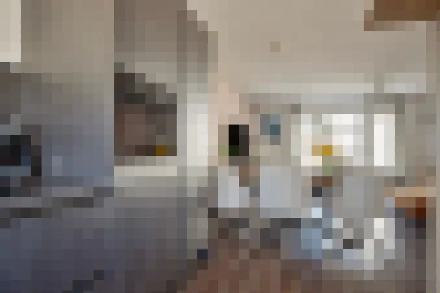 Schapendrift 10 Barneveld thumbnail 11