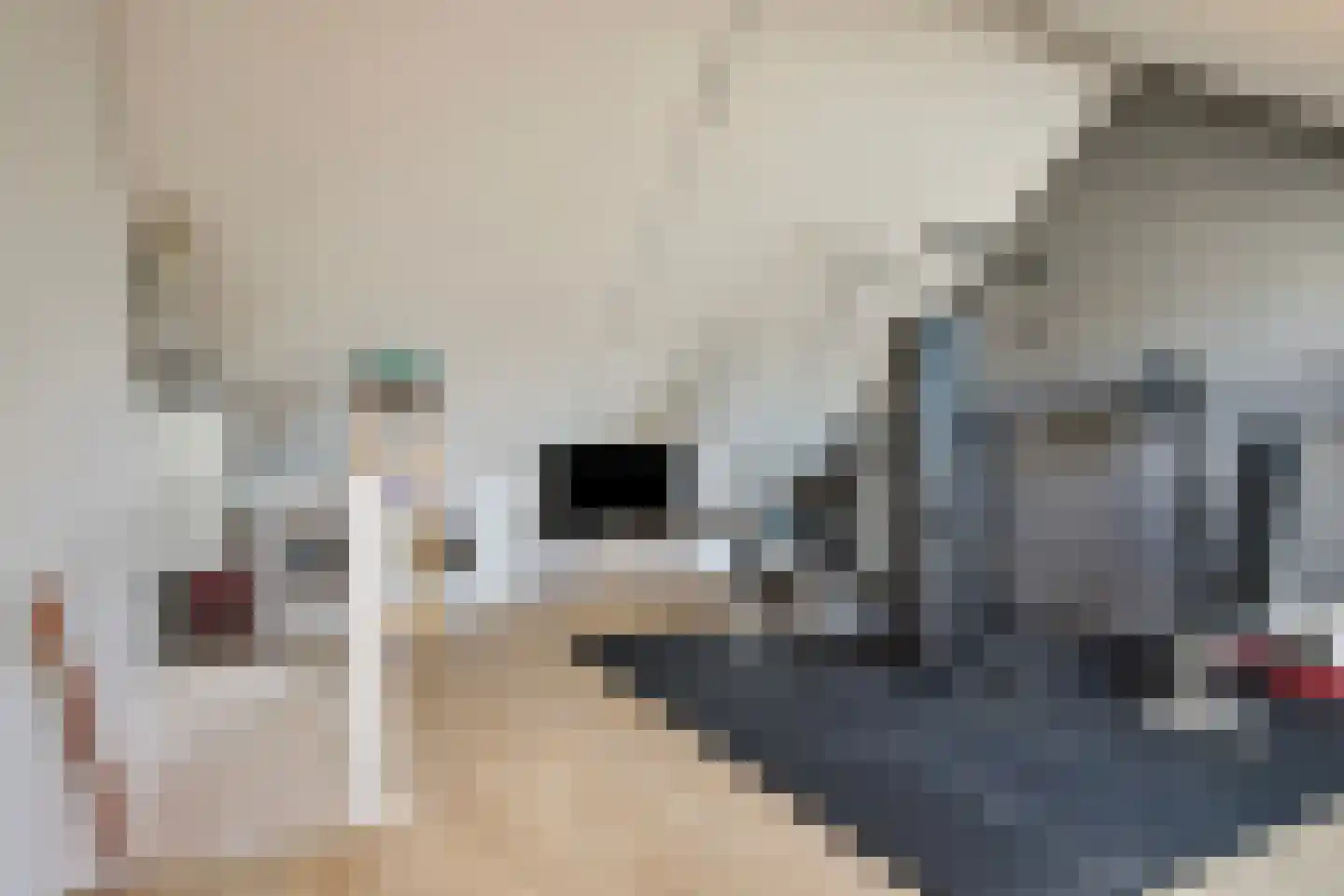 Schapendrift 10 Barneveld thumbnail 20