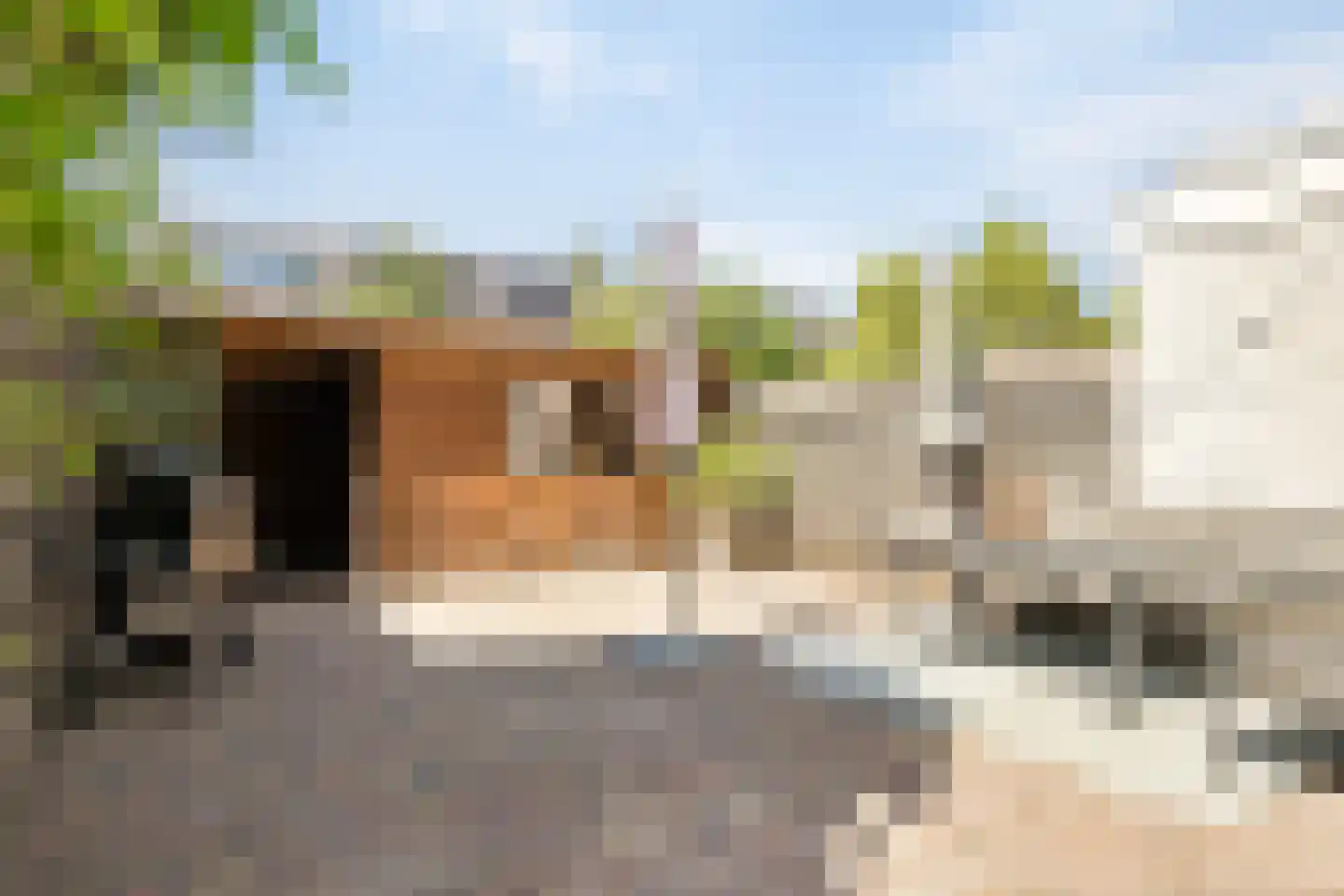 Schapendrift 10 Barneveld thumbnail 23