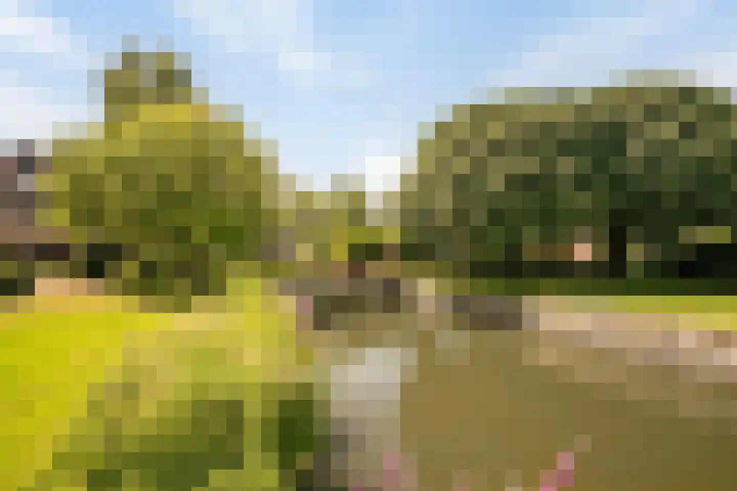 Schapendrift 10 Barneveld thumbnail 26
