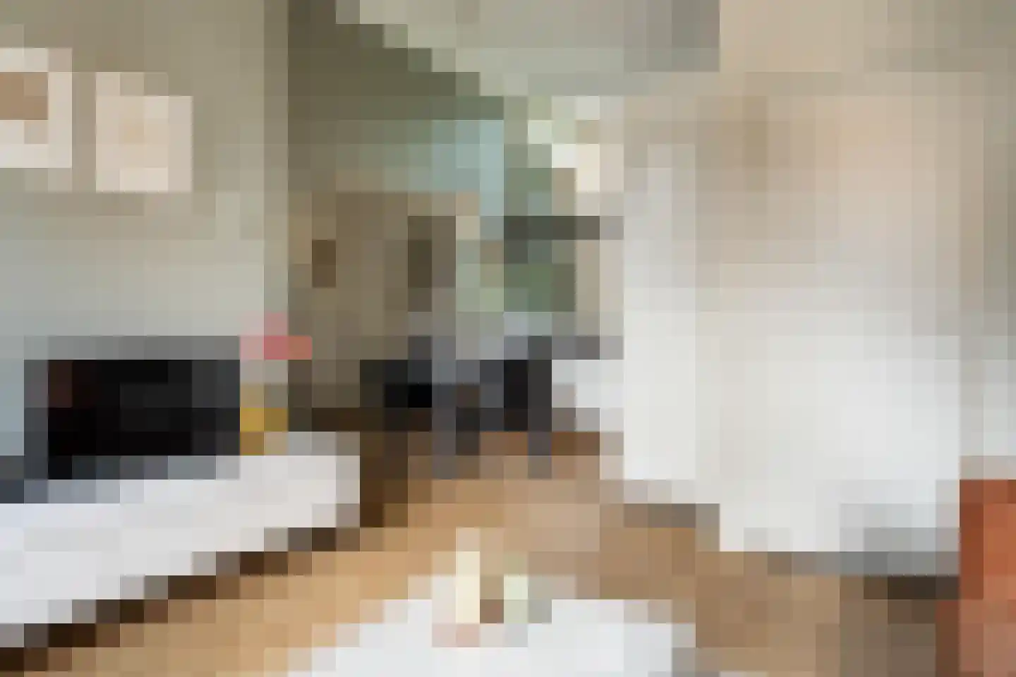 Schapendrift 12 Appelscha thumbnail 11