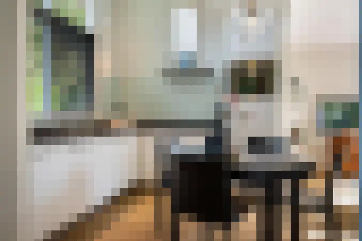 Schapendrift 12 Appelscha thumbnail 14