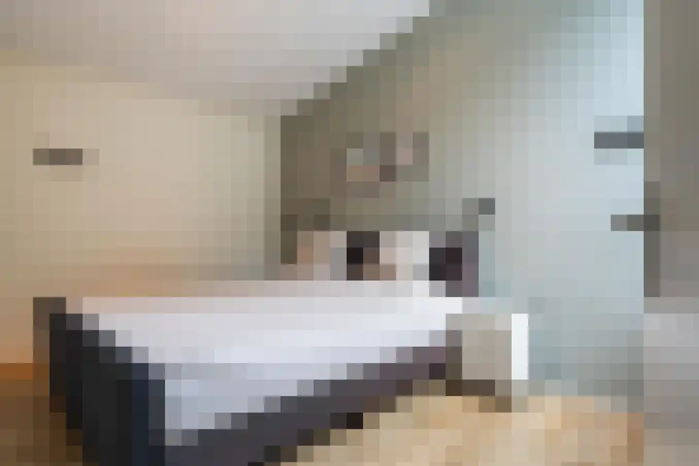 Schapendrift 12 Appelscha thumbnail 15