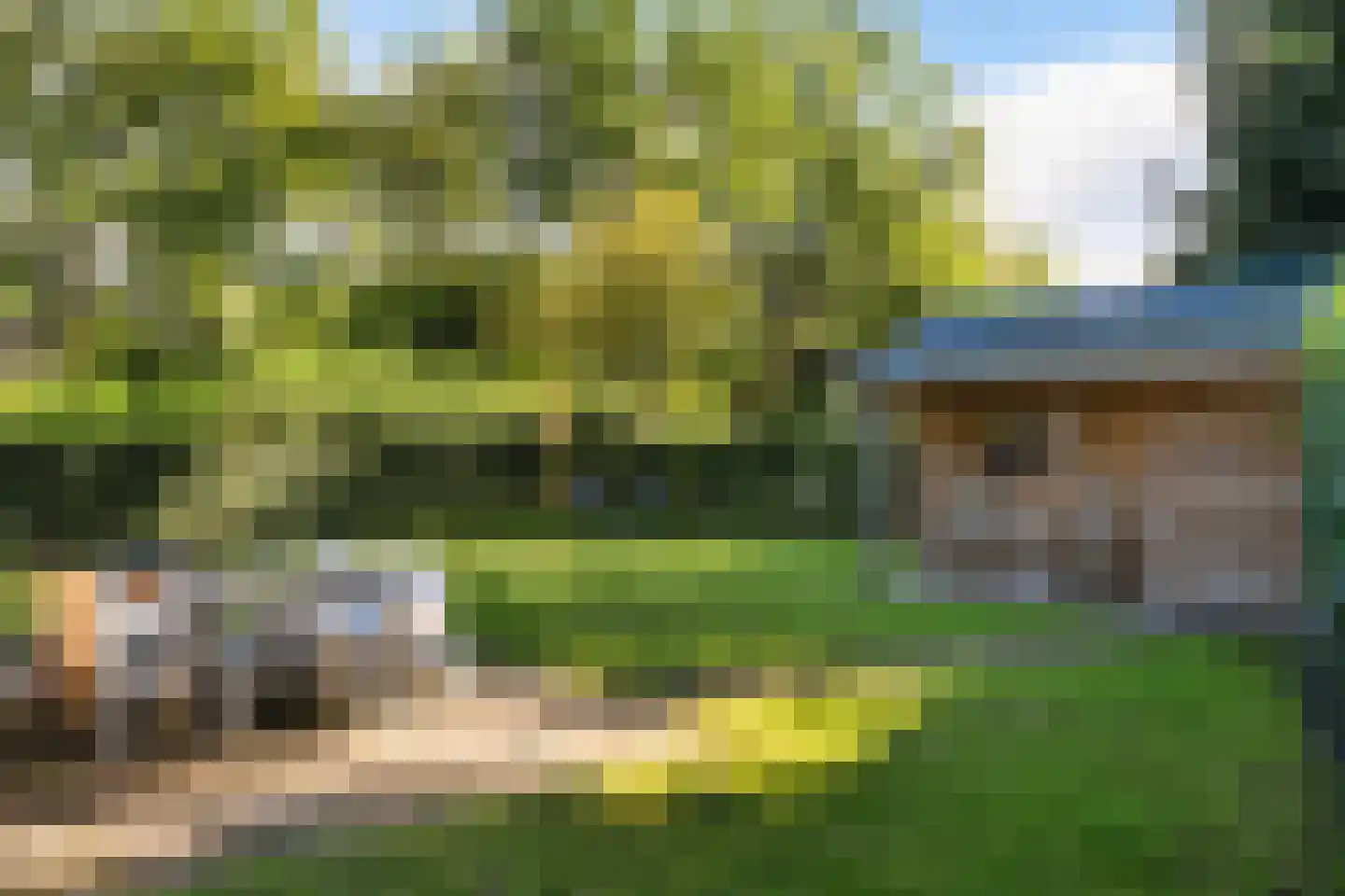Schapendrift 12 Appelscha thumbnail 21