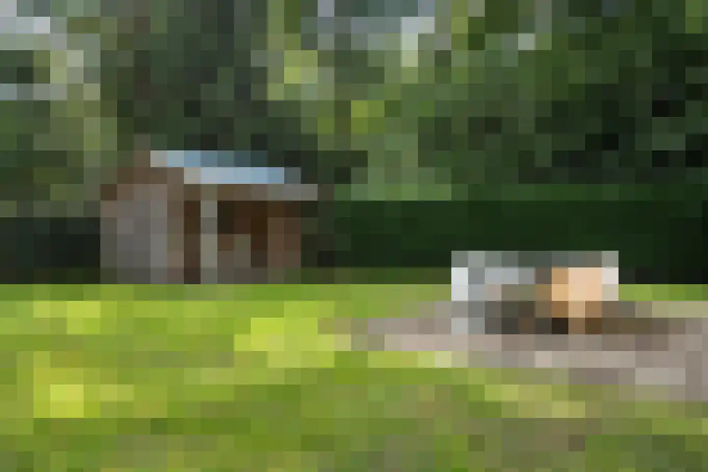 Schapendrift 12 Appelscha thumbnail 22
