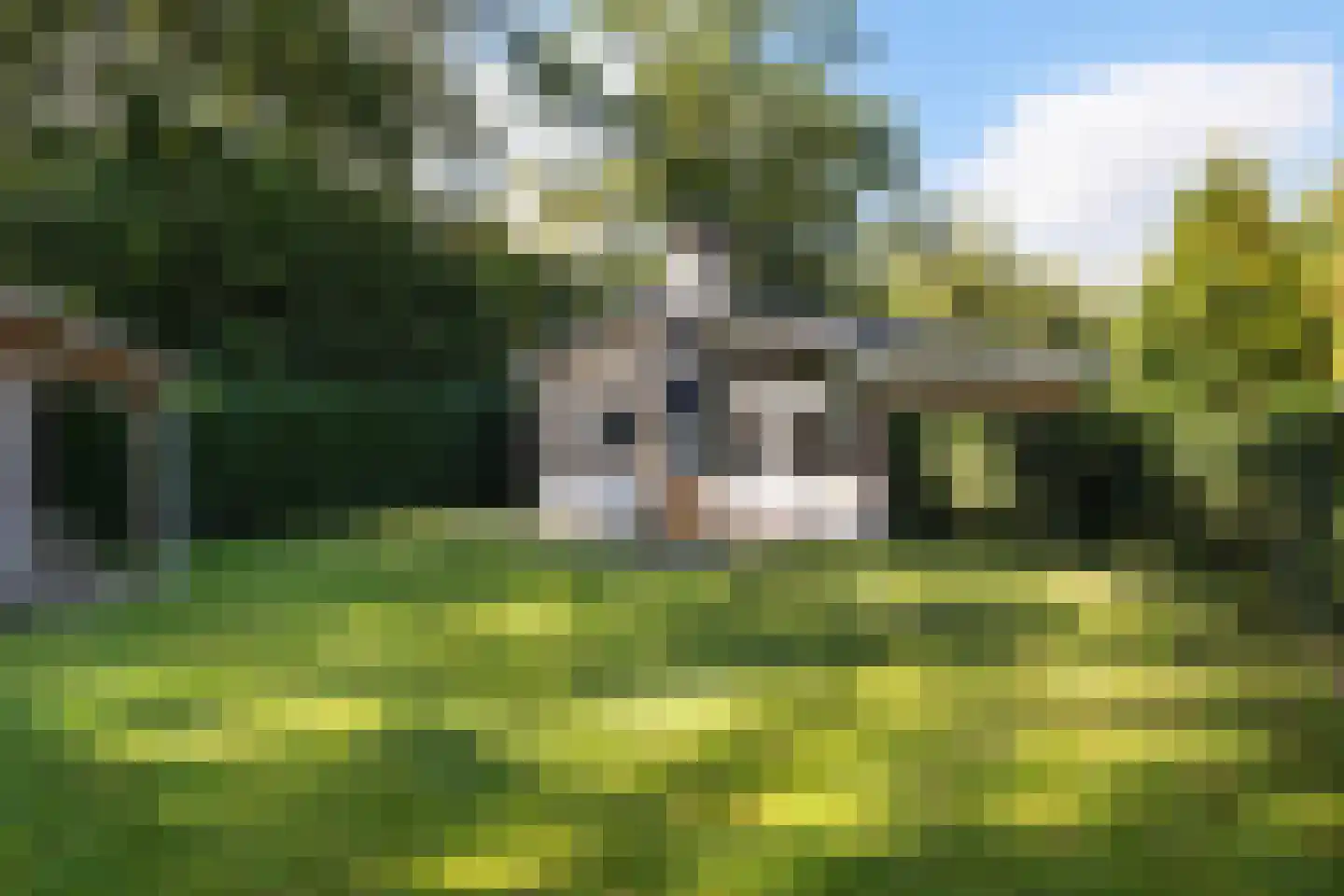 Schapendrift 12 Appelscha thumbnail 24