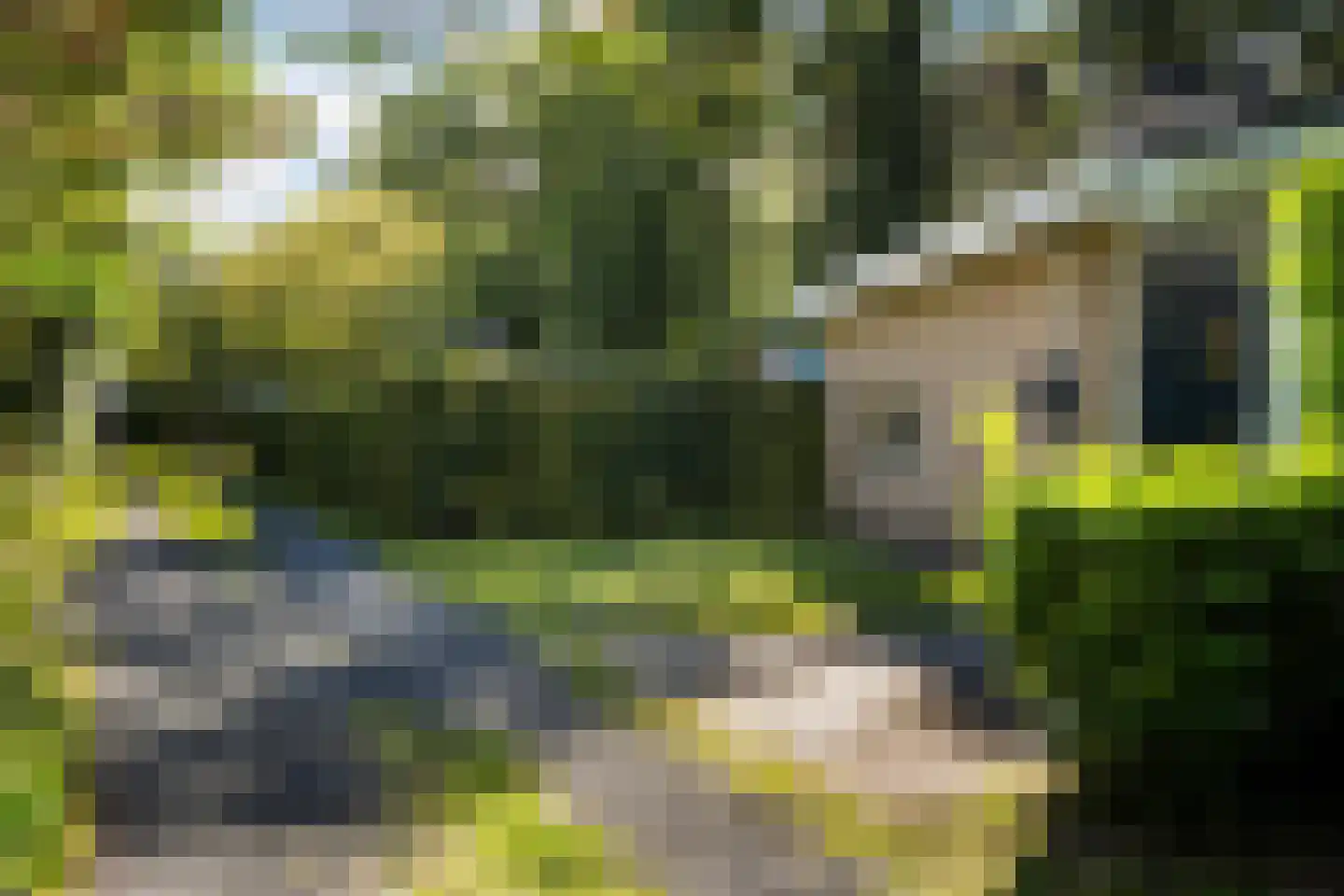 Schapendrift 12 Appelscha thumbnail 26