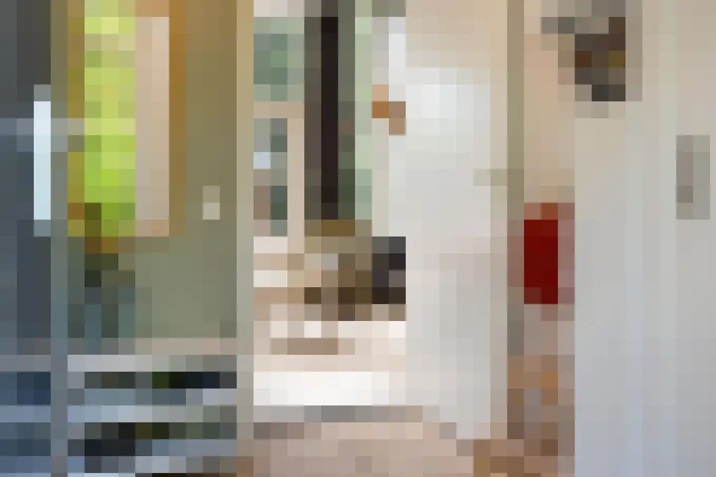 Schapendrift 12 Appelscha thumbnail 8