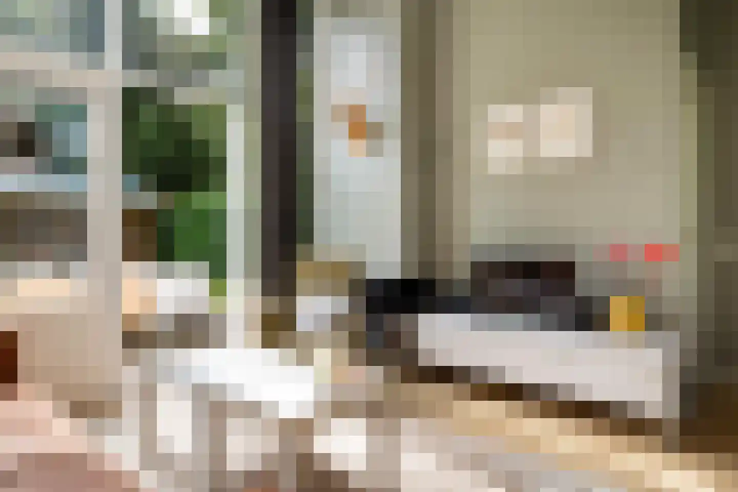 Schapendrift 12 Appelscha thumbnail 9