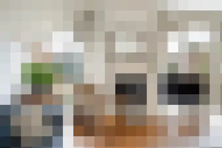 Schapendrift 131 Beilen thumbnail 13