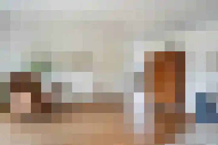 Schapendrift 131 Beilen thumbnail 15