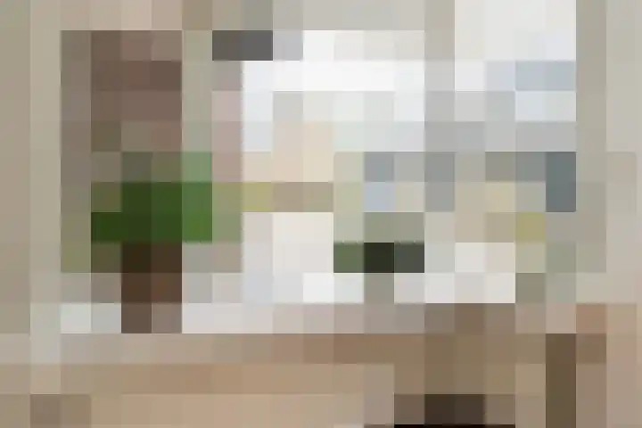 Schapendrift 131 Beilen thumbnail 18