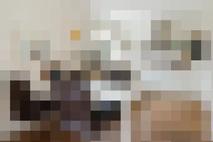 Schapendrift 131 Beilen thumbnail 20
