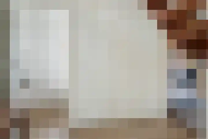 Schapendrift 131 Beilen thumbnail 23