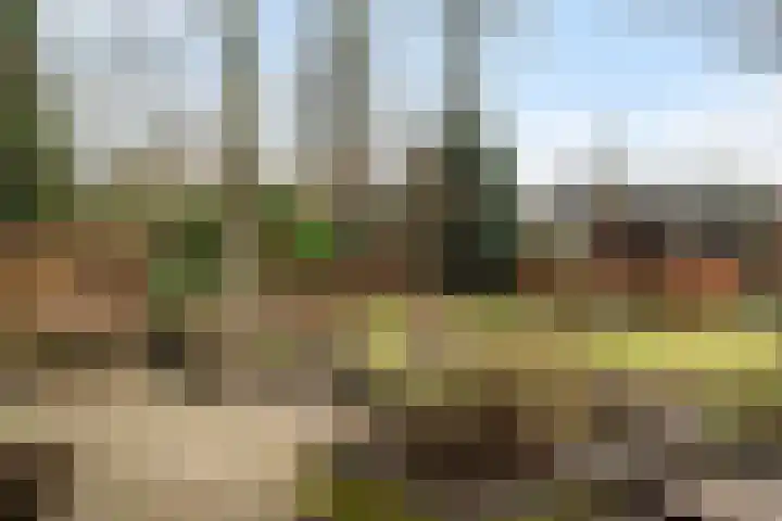 Schapendrift 131 Beilen thumbnail 38