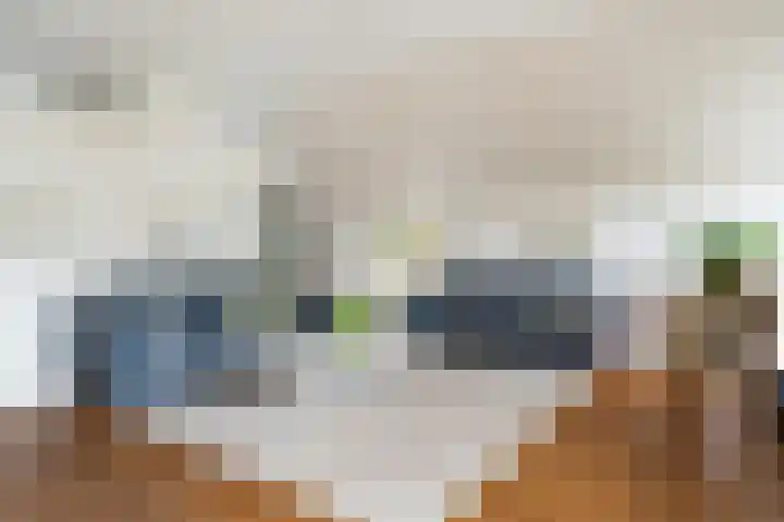 Schapendrift 131 Beilen thumbnail 4