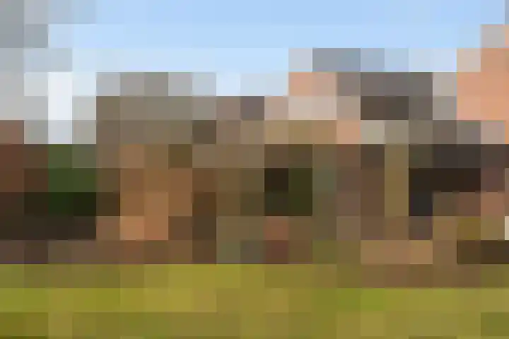 Schapendrift 131 Beilen thumbnail 42