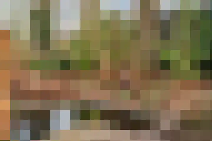 Schapendrift 131 Beilen thumbnail 47
