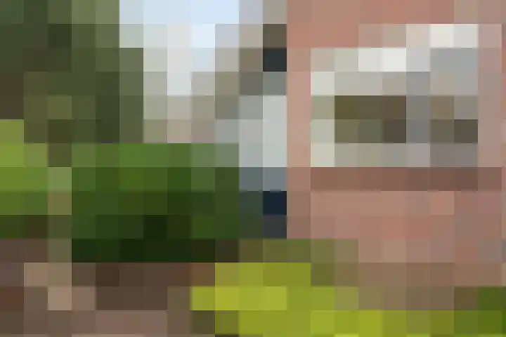 Schapendrift 131 Beilen thumbnail 61