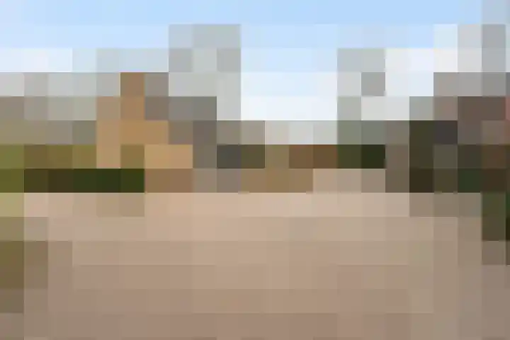 Schapendrift 131 Beilen thumbnail 62