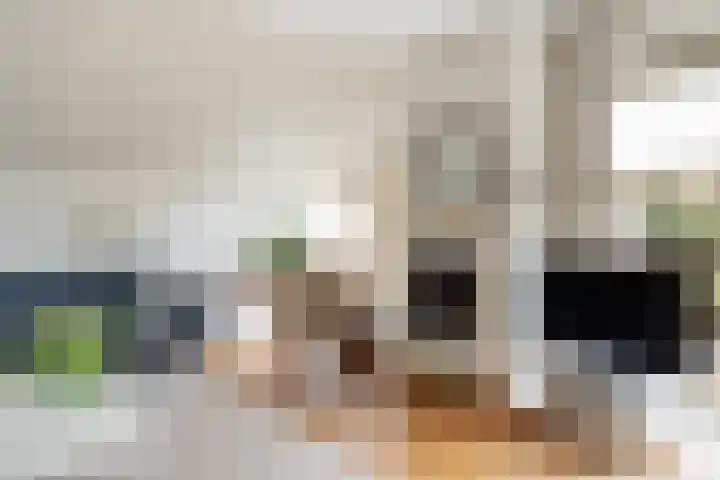 Schapendrift 131 Beilen thumbnail 9