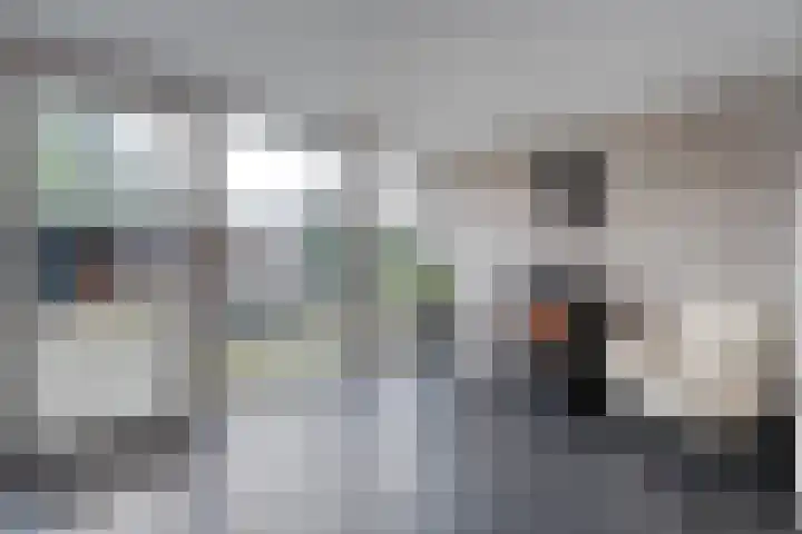 Schapendrift 135 Beilen thumbnail 10