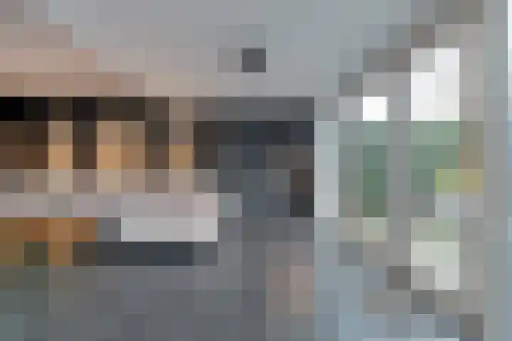 Schapendrift 135 Beilen thumbnail 11
