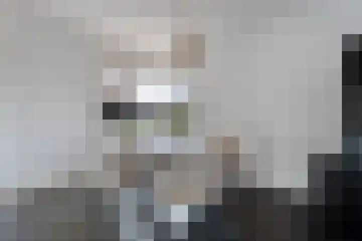 Schapendrift 135 Beilen thumbnail 14
