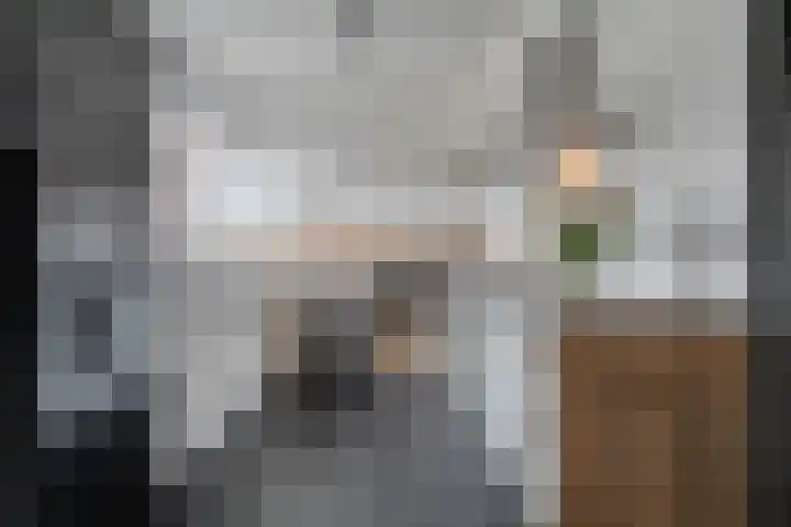Schapendrift 135 Beilen thumbnail 15