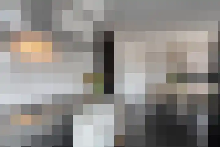 Schapendrift 135 Beilen thumbnail 16