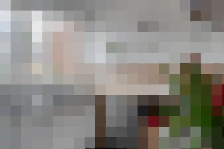 Schapendrift 135 Beilen thumbnail 17