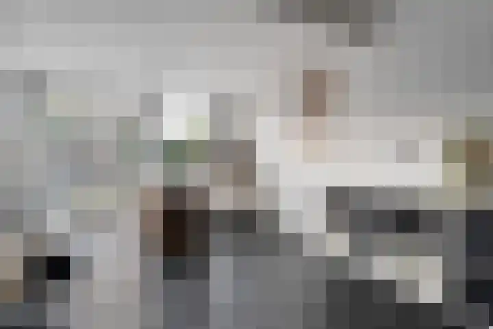 Schapendrift 135 Beilen thumbnail 18