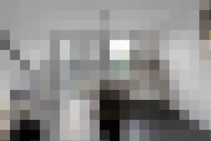 Schapendrift 135 Beilen thumbnail 19