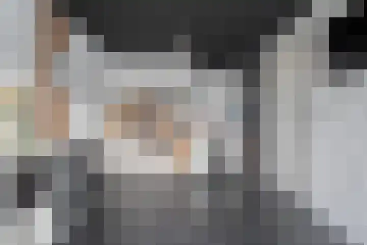 Schapendrift 135 Beilen thumbnail 20