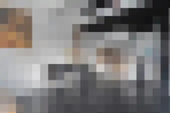 Schapendrift 135 Beilen thumbnail 21
