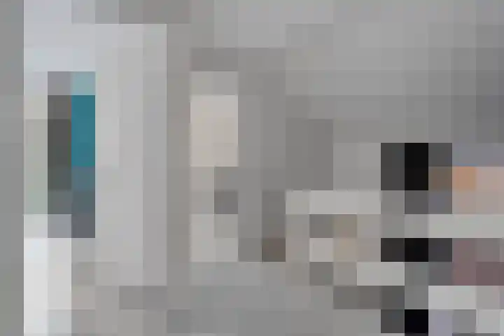 Schapendrift 135 Beilen thumbnail 22