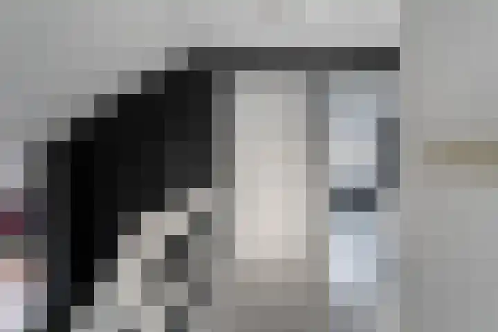 Schapendrift 135 Beilen thumbnail 23